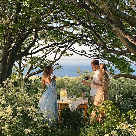 Staurneset Scandi With Wildlife And Seafront